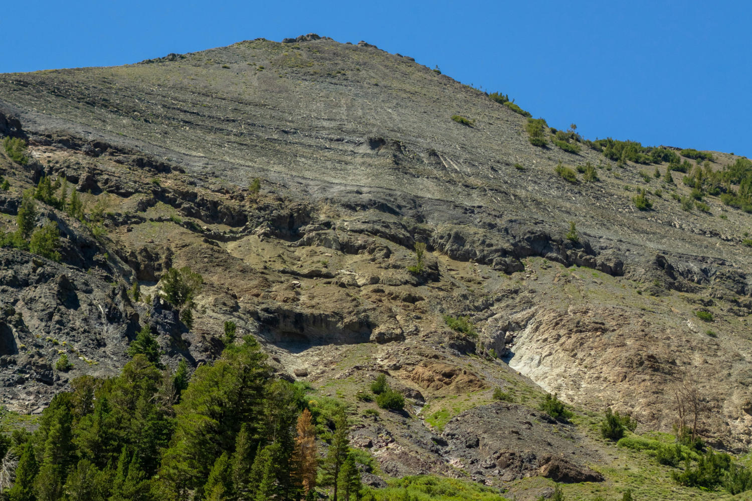 Central Sierra