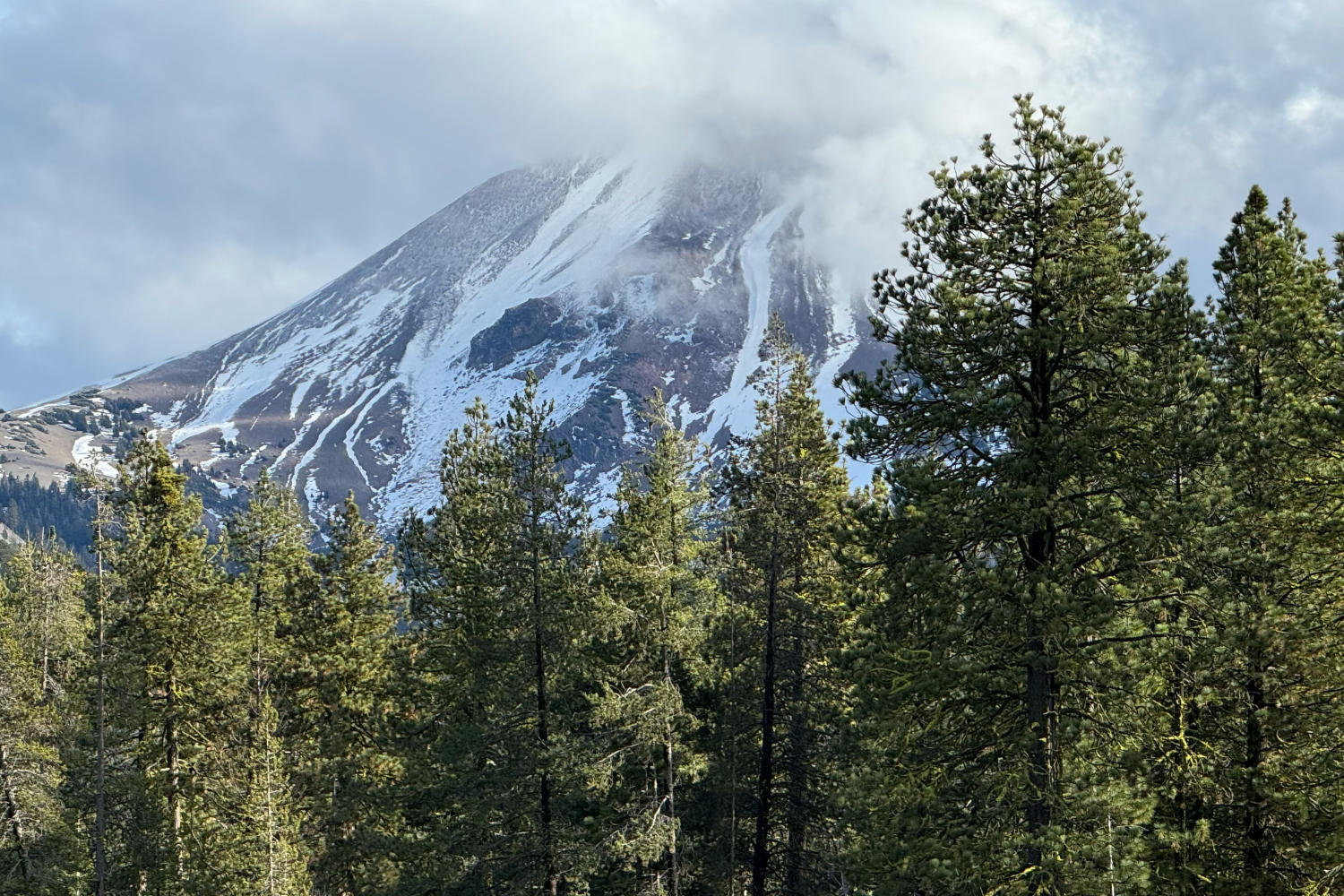 Northern Sierra / Trinity